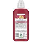 COCCOLINO CONCENTRATO FRESH & PROTECT PEONIA ROSSA & MELA 41 LAVAGGI 952 ML 