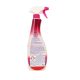 CHANTECLAIR FORZA & IGIENE WC CANDEGGINA MOUSSE SPRAY 625 ML