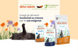 Come gestire al meglio la routine alimentare del tuo gatto