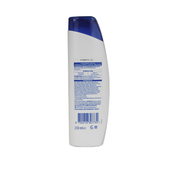 HEAD & SHOULDERS SHAMPOO ANTIFORFORA MENTHOL FRESH 250 ML