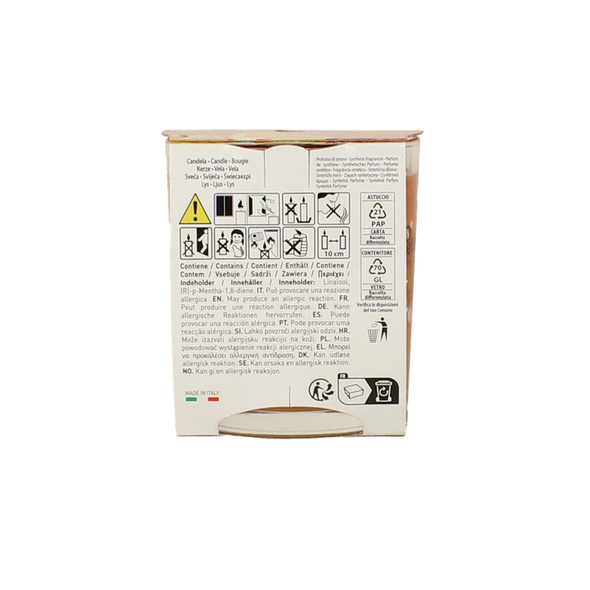 PETALI CANDELA PROFUMA AMBIENTE ARANCIA CANNELLA 45 ORE