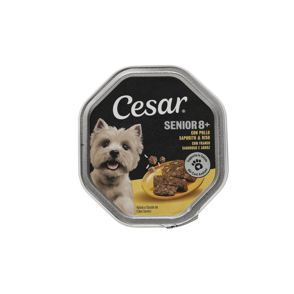 CESAR SENIOR 10+ CON POLLO e RISO IN GELATINA VASCHETTA 150 GRAMMI