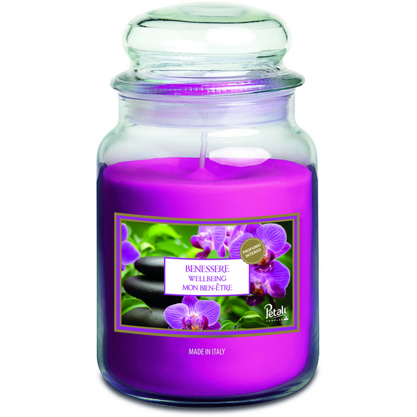 Purple River - Candela profumata grande in barattolo di vetro con coperchio, Happy Berry (623 g), fragranza fruttata di bacche per la vostra casa, 100% cera di soia con durata fino a