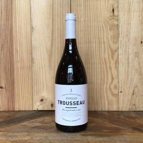 (H) Aniello - Trousseau