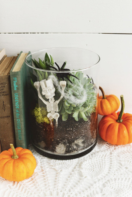 Spooky Halloween Terrarium