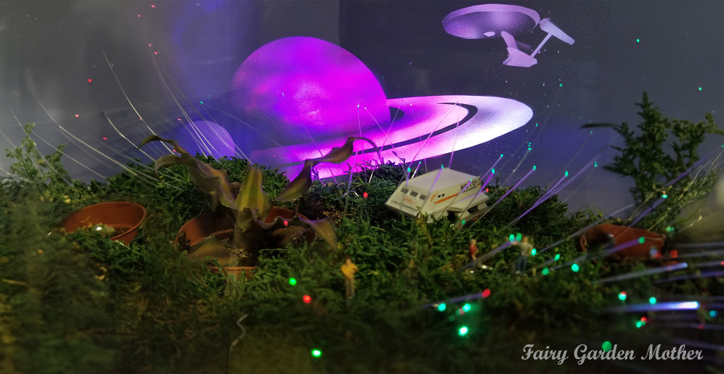 Star Trek Terrarium Adventure