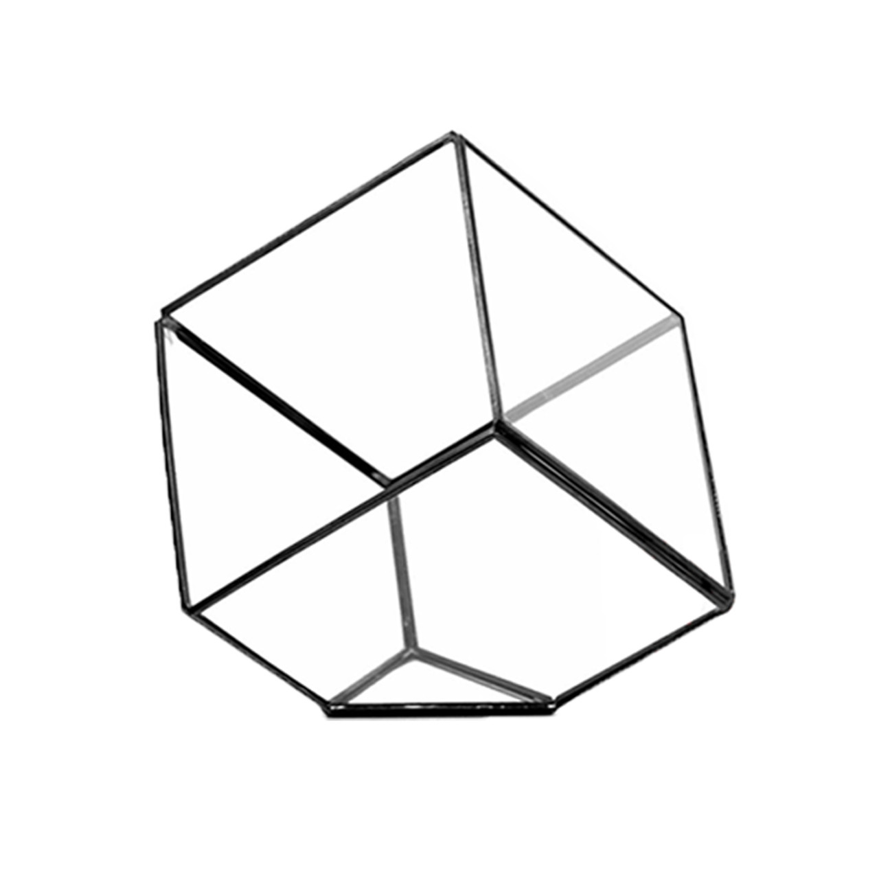 GET0408BK - Big Black Tilted Cube Geometric Glass Terrarium