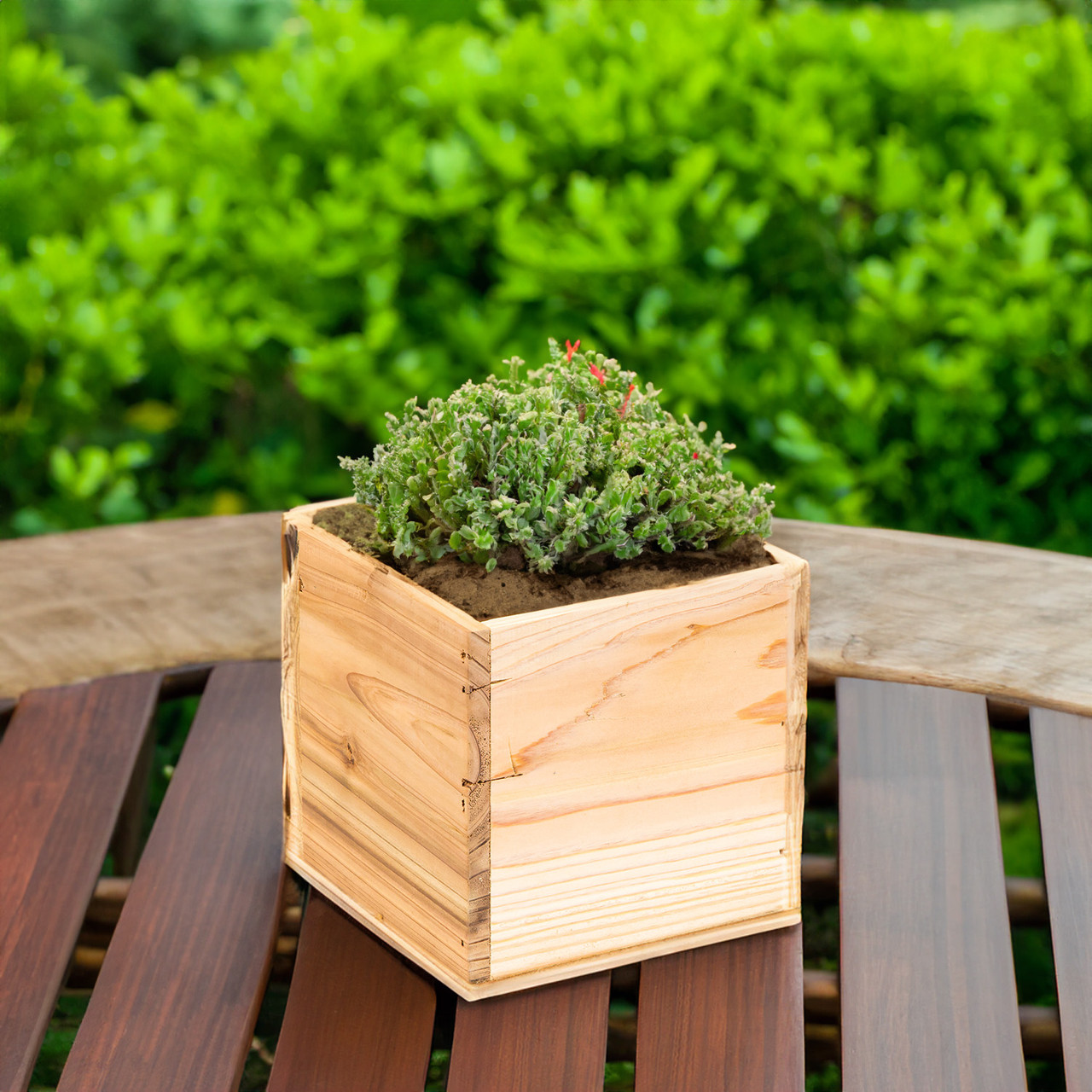 WCB0004NA - Natural Wood Planter Box - 4"