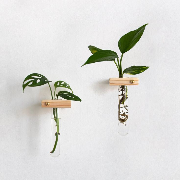HTB0104 - Small Hanging Test Tube Vase - 4