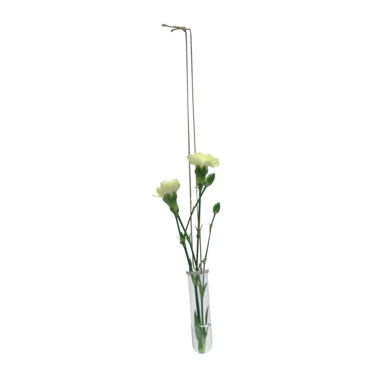 Flowers in glass hanging tubes