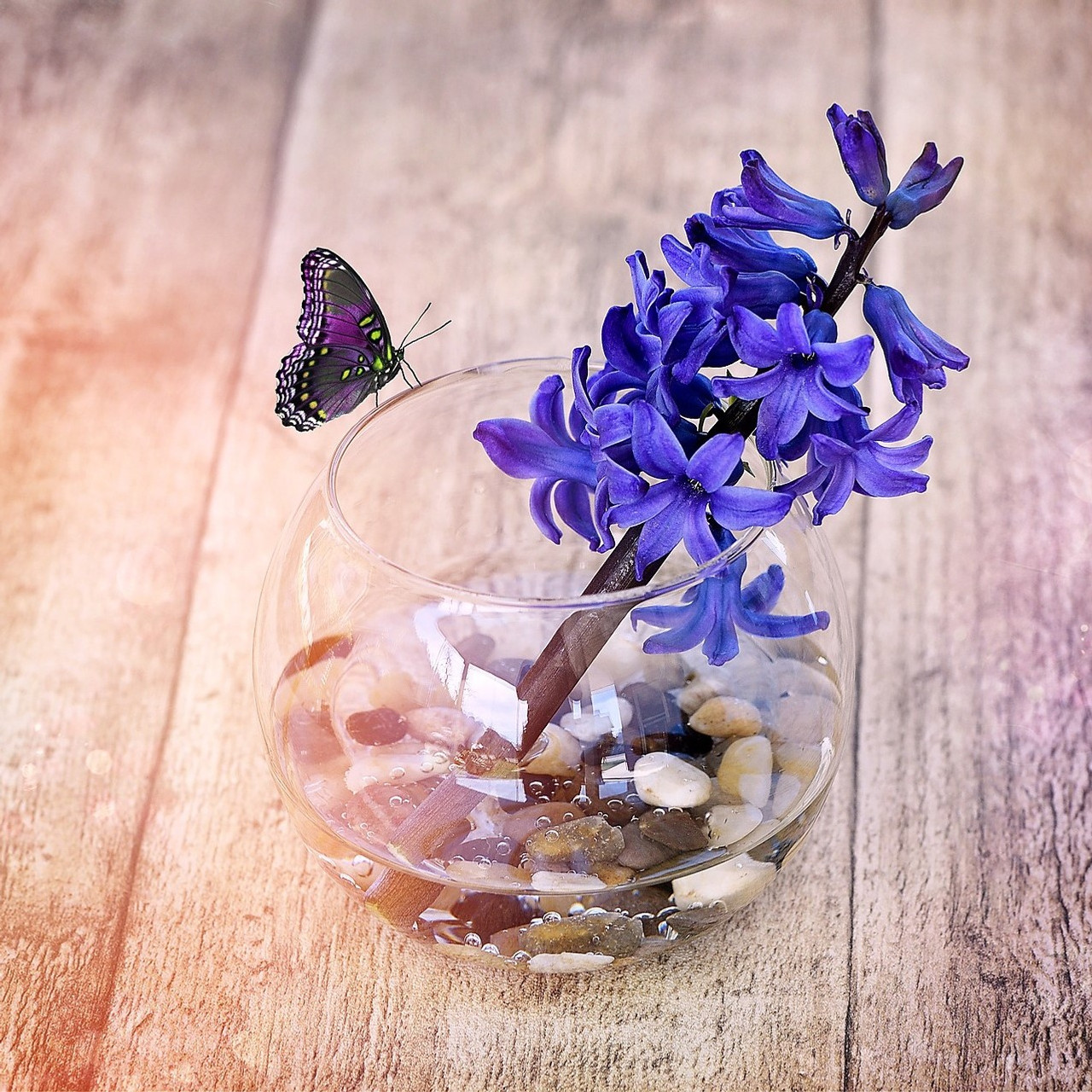 VBW0008 - Clear Bubble Bowl Glass Vase - 8