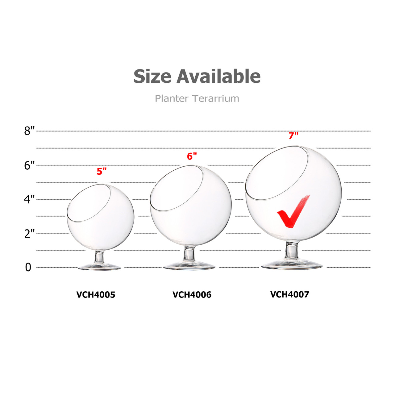 VCH4007 - Slant Bowl Terrarium on Stem - 7