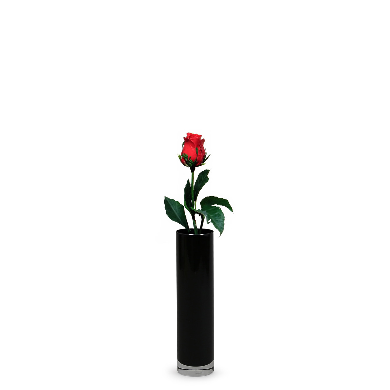 VCY0208BK - Black Cylinder Glass Bud Vase - 2