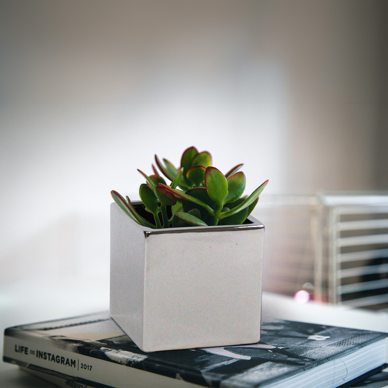 Ceramic Cube Vase - 6
