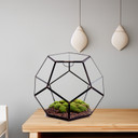 GET1211BK Large Black Prism Geometric Glass Terrarium. 9"H - (2 pcs/case)