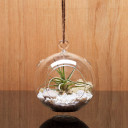 HCH0104 - Clear Hanging Glass Terrarium / Candle Holder-4"x5" (48pcs)