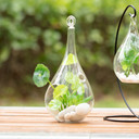 HCH0209 - Tear Drop Hanging Glass Terrarium - 2.5"x9.5"