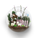 HCH1107 - Half Round Wall Hanging Terrarium - 7"