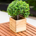 WCB0004NA - Natural Wood Planter Box - 4" (12 pcs)
