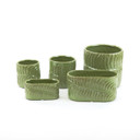CYC2304GL - Small Green Fern Cylinder Vase - 4" D x 4.25" H (24 pcs/case)