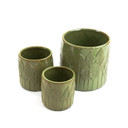 CYC3905GN - Medium Olive Green Leaf Cylinder Vase - 4.7" D x 4.7" H