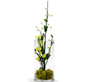 VCY0510 - Cylinder Glass Vase - 5"x10" (12 pcs/case)