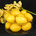 VCY0804 - Cylinder Glass Vase - 8" x 4" H (6 pcs)