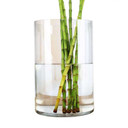 VCY0812 - Clear Cylinder Glass Vase - 8" x 12"H