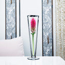 VTV0416 - Pilsner Glass Trumpet Vase - 16"