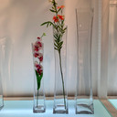 VXV0418 Unique Square Concave Glass Vase - 3" x 17" (12pcs)