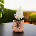 CUB5306RG Unique Textured Rose Gold Pot - 6" W x 5.7" H (12 pcs)