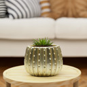 CUD2505GD Medium Matte Gold Ceramic Cactus Pot - 5.7" H