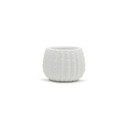 CUD2505WT Medium White Ceramic Cactus Pot - 5.7" H (16 pcs)