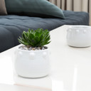CUD5405WT White Honey Pot Vase with Decorative Knob Edge - 5" H (12 pcs)