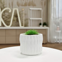 CUD8906WT Large Unique White Ceramic Pot - 6.5" W x 6" H (12 pcs)