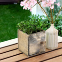 WCB0004RS - Rustic Wood Planter Box - 4" (12 pcs)