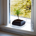 VBV0804 - Block Glass Vase - 8"x4"