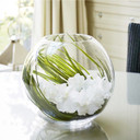 VBW0006 Clear Bubble Bowl Glass Vase - 6" (12PCS)