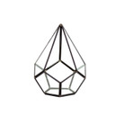 GET1708BK - Undecahedron Teardrop Terrarium - 7.5" H