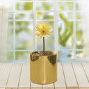 CYL0004GD - Gold Ceramic Cylinder - 4"