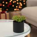 Ceramic Cylinder Vase - 5"H (Various Colors)