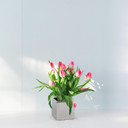 Ceramic Cube Vase - 5"H (Various Colors)