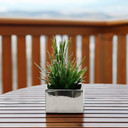 Short Square Ceramic Block Vase - 5.75" x 4"