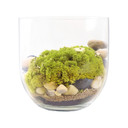 VBW3110 - Peninsula Bowl Vase - 10"
