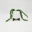 CFB2706WT - White Mid Mod Geometric Vase with Wooden Stand - 5"