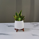 CFB2706WT - White Mid Mod Geometric Vase with Wooden Stand - 5"