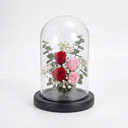 VDM0710WB - Small Glass Dome Cloche with Wood Base - 10"