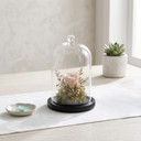 VDM0406BB - Medium Glass Cloche with Base - 5.7"