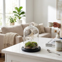 VDM0406BB - Medium Glass Cloche with Base - 5.7"