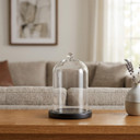 VDM0406BB - Medium Glass Cloche with Base - 5.7"